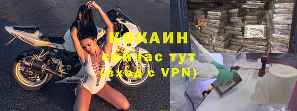 прущие грибы Красноперекопск