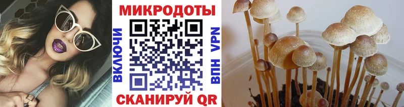 Псилоцибиновые грибы MAGIC MUSHROOMS Купить Кораблино