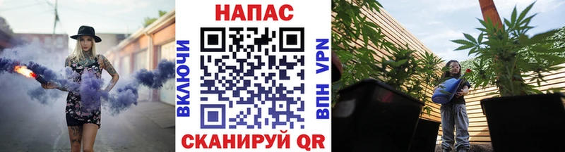 Шишки марихуана планчик Кораблино